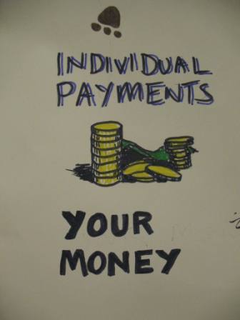 Your money, individual payments